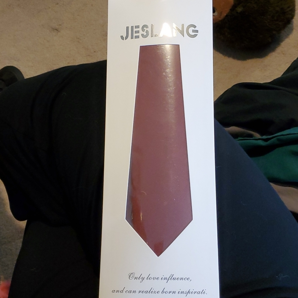 Men's tie. NWT. Brick red (labeled "rust")